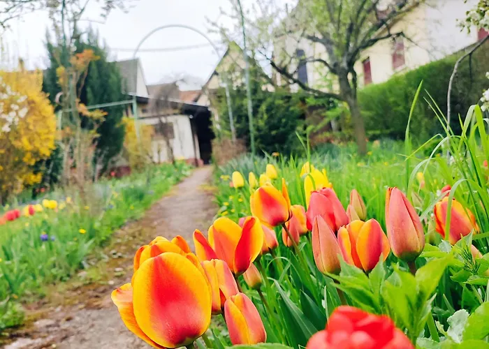 La Maison Flore ! Confort Et Nature